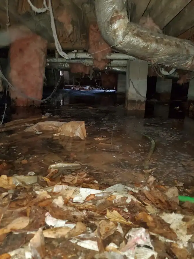 Crawl space flood assessment for Leak Detection & Repair in Sturtevant